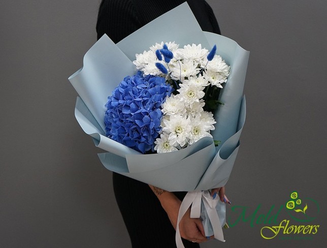 Bouquet with Blue Hydrangea and White Chrysanthemums photo